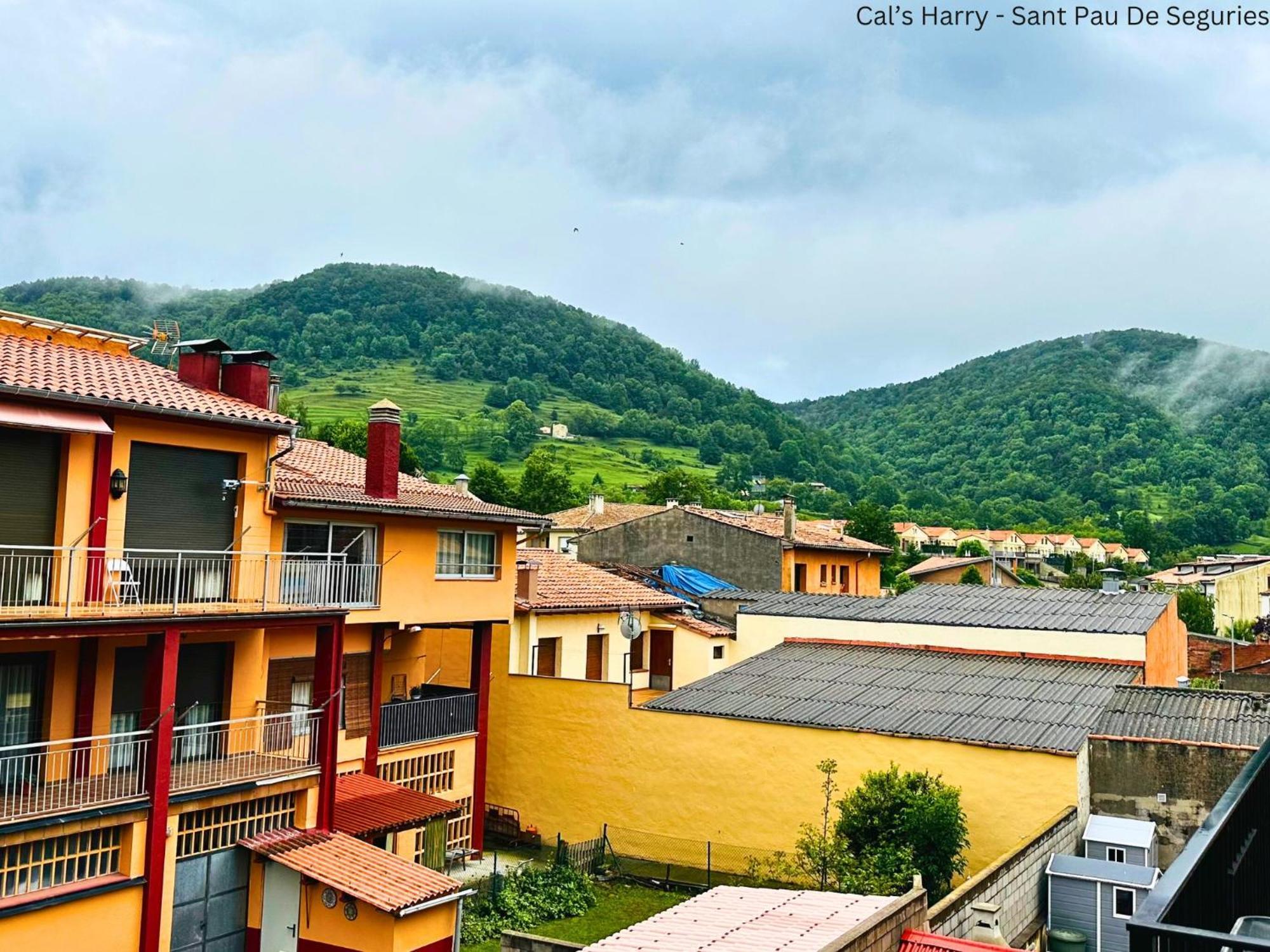 Cal Harrys - La Mejor Casa De Vacaciones En Pyrenees Con Vistas A La Montana Sant Pau de Segúries Esterno foto