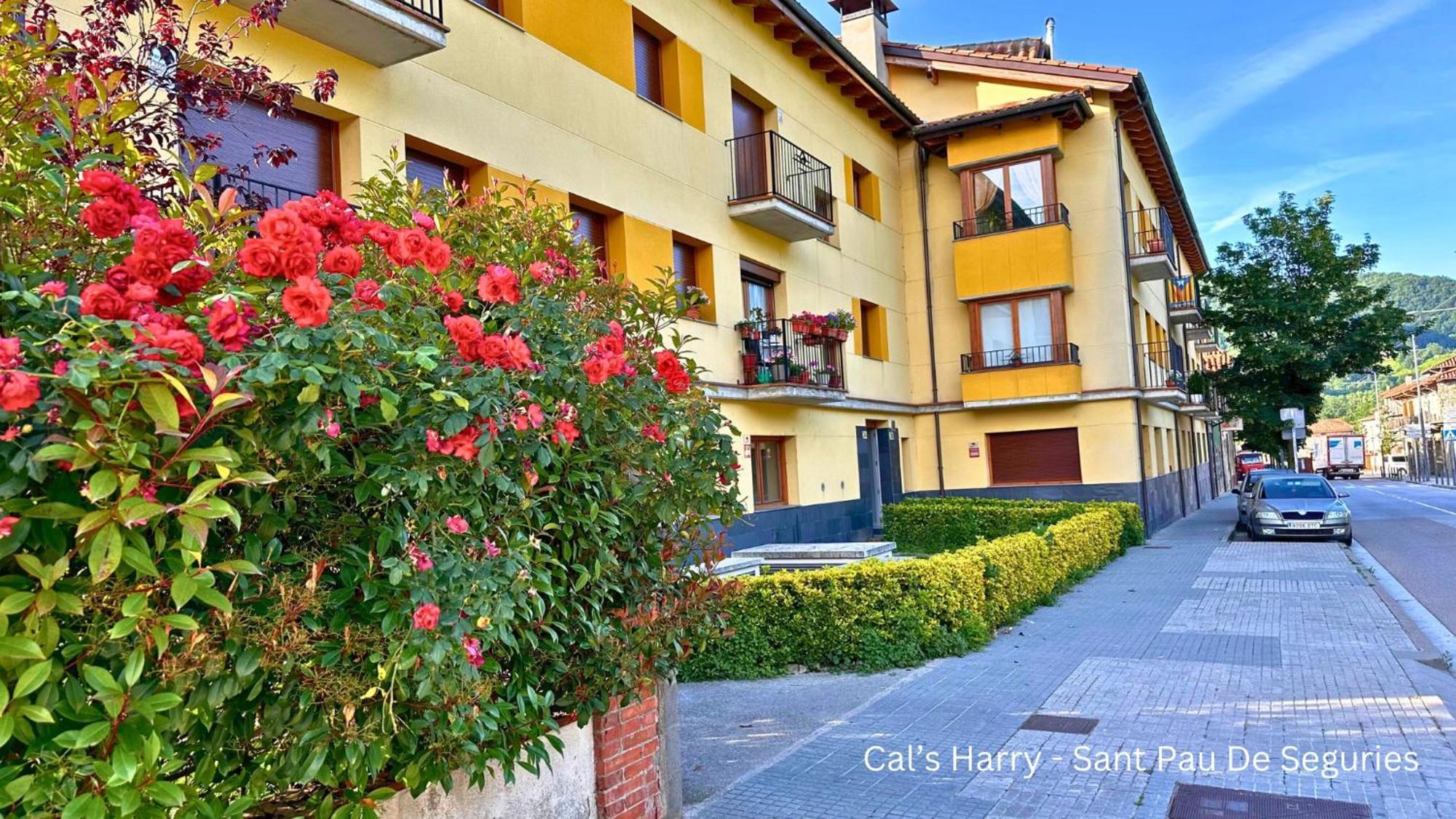 Cal Harrys - La Mejor Casa De Vacaciones En Pyrenees Con Vistas A La Montana Sant Pau de Segúries Esterno foto